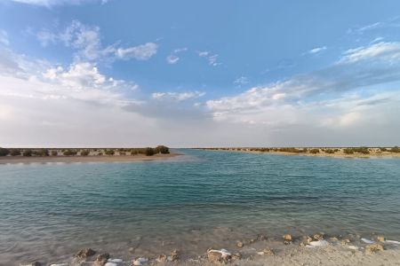 mer6