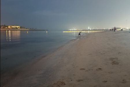 mer8
